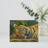 マウンテンレスト – 野生のタイガー ポストカード (スタンド正面)