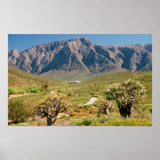 マウンテンレンジワーチェスター自然予約 ポスター (正面)