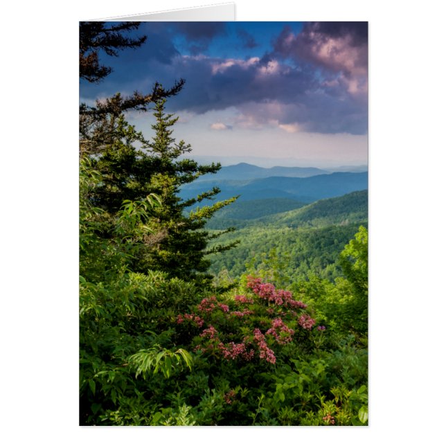 マウンテンローレルアットサンライズ (正面)