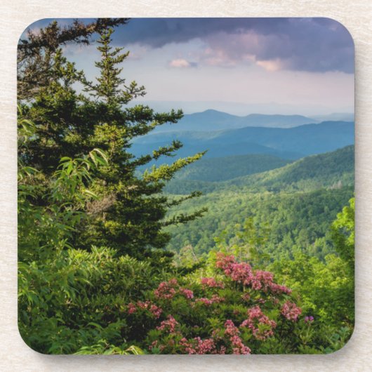 マウンテンローレルアットサンライズ コースター (正面)