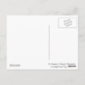 マウンテンローレルイン開花 ポストカード (裏面)