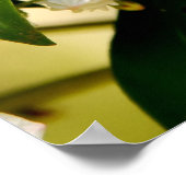 マウンテンローレル開花 ポスター (角)