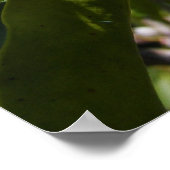 マウンテンローレル46 toプリント ポスター (角)