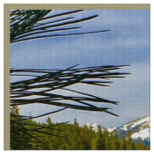 マウンテン秋布 ファブリック (クローズアップ)