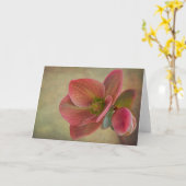 マウンテン美しいヘレボルスカード カード (黄色い花)