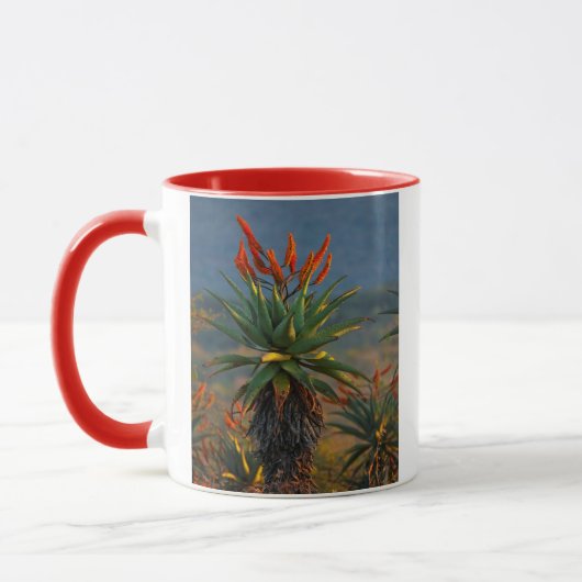 マウンテン・アロエ (Aloe Marlothii Berger) 2 マグカップ (左)
