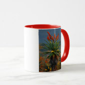 マウンテン・アロエ (Aloe Marlothii Berger) 2 マグカップ (正面右)