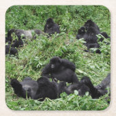 マウンテン・ゴリラのグループのコースター スクエアペーパーコースター (正面)