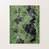 マウンテン・ゴリラのグループのジグソーパズル ジグソーパズル (縦)