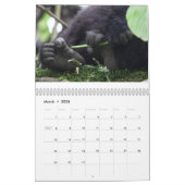 マウンテン・ゴリラは米国の休日を閉めません カレンダー (3月 2026)