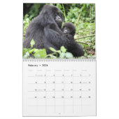 マウンテン・ゴリラ カレンダー (2月 2026)