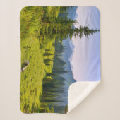 マウンテン&フォレストランドスケープワシントン州 シェルパブランケット (正面)