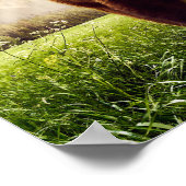 マウンテン・ベア ポスター (角)