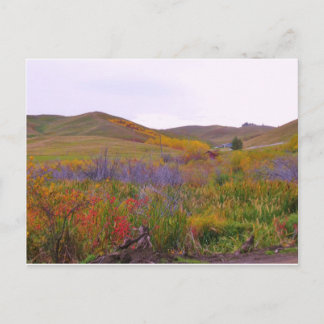 マウントカラー ポストカード