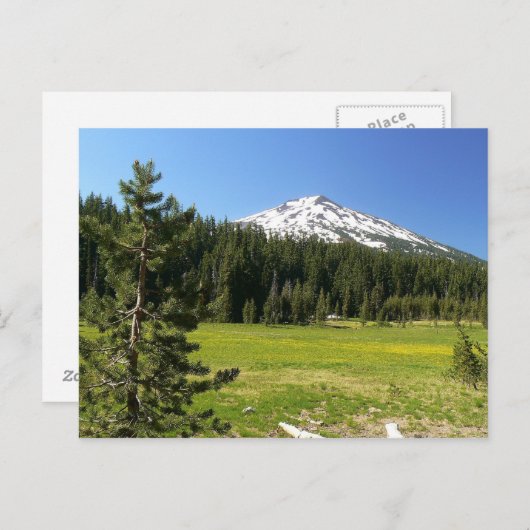 マウントバチェラーアンドファース ポストカード (正面/裏面)