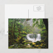 マウントフィールド国立公園内 ポストカード (正面/裏面)