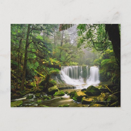マウントフィールド国立公園内 ポストカード (正面)