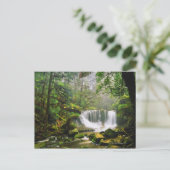 マウントフィールド国立公園内 ポストカード (スタンド正面)