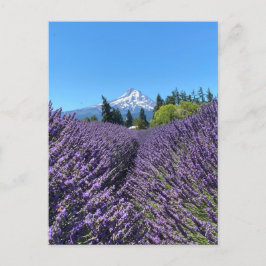 マウントフードオレゴン ポストカード