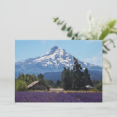 マウントフードラベンダーフィールド空白のカード (スタンド正面)