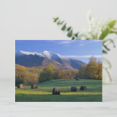 マウントマンズフィールドバーモント招待状 招待状 (スタンド正面)