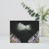 マウントラッシュモア記念公園 - 夕方の照明 -  ポストカード (スタンド正面)