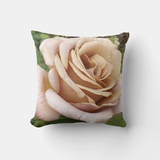 マウヴバラ クッション (正面)