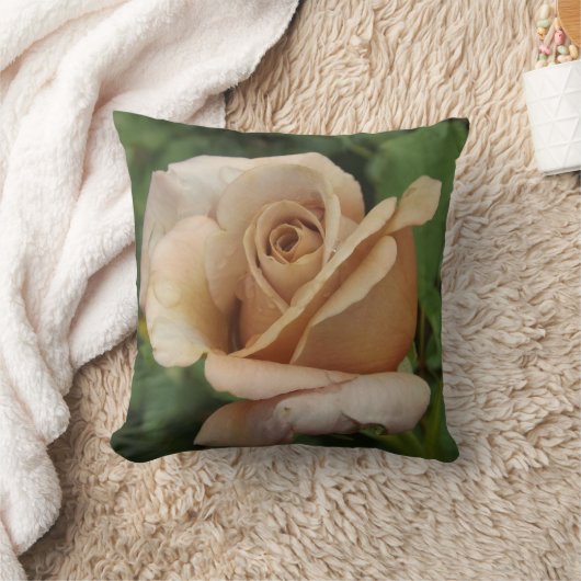 マウヴバラ クッション (ブランケット)