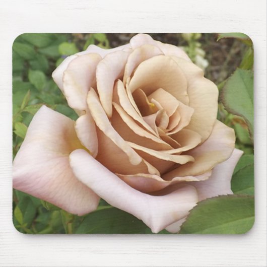 マウヴバラ マウスパッド (正面)