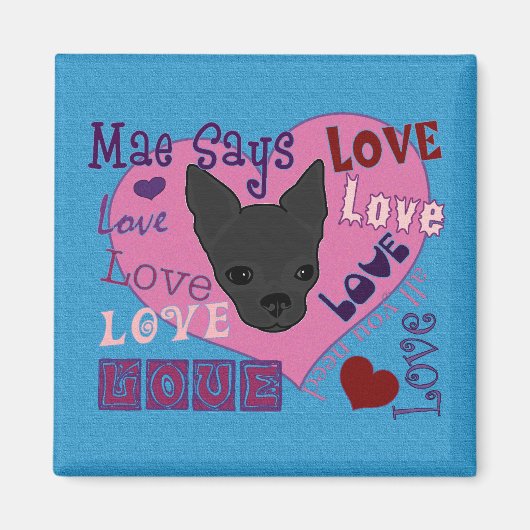 マエは愛を言う！マグネット マグネット (正面)