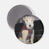 マエストログループ磁石 マグネット (正面/裏面)