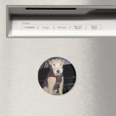 マエストログループ磁石 マグネット (インサイチュ (食洗機))