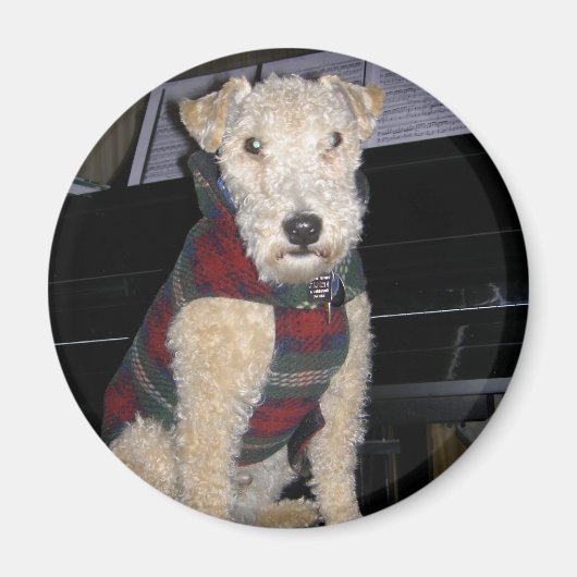 マエストログループ磁石 マグネット (正面)