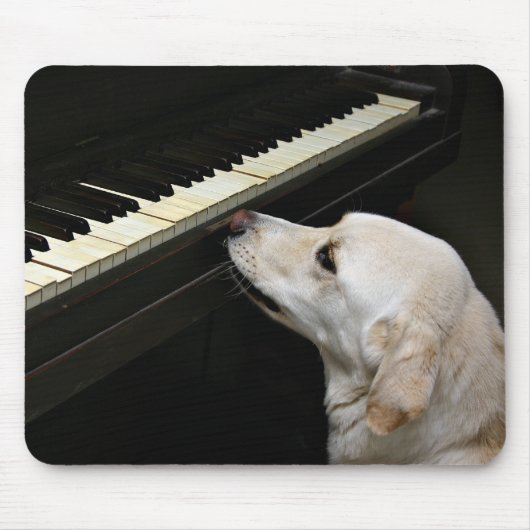 マエストロ マウスパッド (正面)