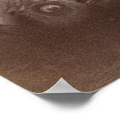 マオリ族の女性，ニュージーランド ポスター (角)