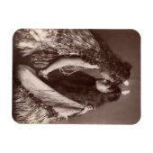 マオリ族の女性，ニュージーランド マグネット (横)