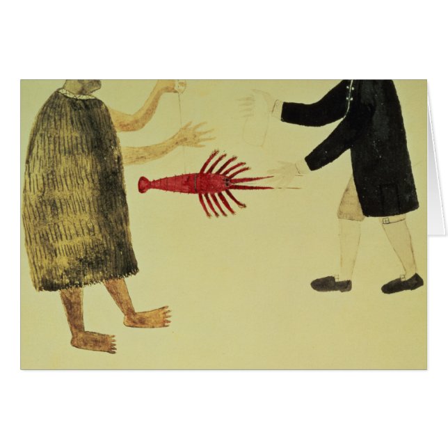 マオリcrayfishを交易します (正面横)