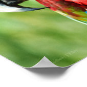 マカオの肖像 ポスター (角)