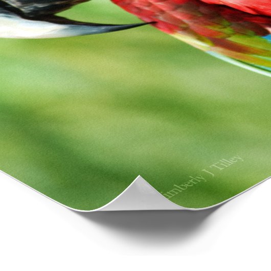 マカオの肖像 ポスター (角)