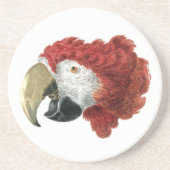 マカオの頭（1725年～1792年）アエルト・シュウマン コースター (正面)