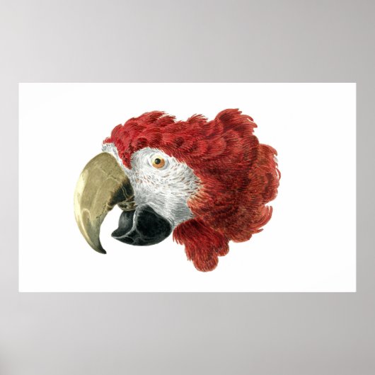 マカオの頭（1725年～1792年）アエルト・シュウマン ポスター (正面)