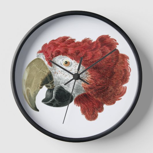 マカオの頭（1725年～1792年）アエルト・シュウマン 壁時計 (正面)