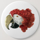 マカオの頭（1725年～1792年）アエルト・シュウマン 缶バッジ (正面)