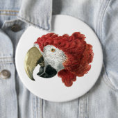 マカオの頭（1725年～1792年）アエルト・シュウマン 缶バッジ (インサイチュ)