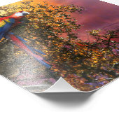 マカオパロットレインフォレストアウトポスト フォトプリント            (角)