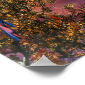 マカオパロットレインフォレストアウトポスト ポスター (角)