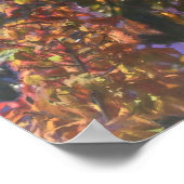 マカオパロットレインフォレストアウトポスト ポスター (角)