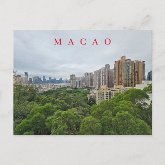 マカオ タイパ全景 ポストカード (正面)