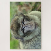 マカクサルパズル  ジグソーパズル (縦)