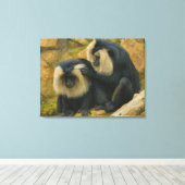 マカクボンド – グルーミング儀式 キャンバスプリント (インサイチュ (ウッドフロア))